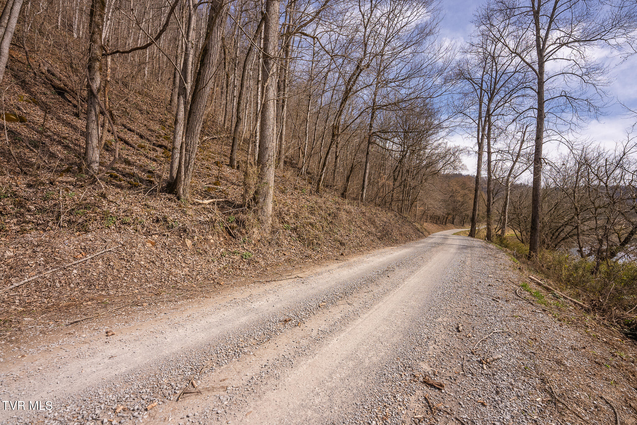 0 Big Springs Road Eidson, TN 37731 - Photo 11 of 49 DSC06614