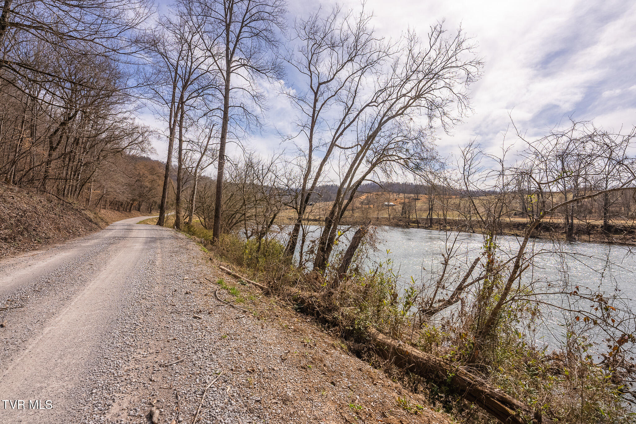 0 Big Springs Road Eidson, TN 37731 - Photo 12 of 49 DSC06615