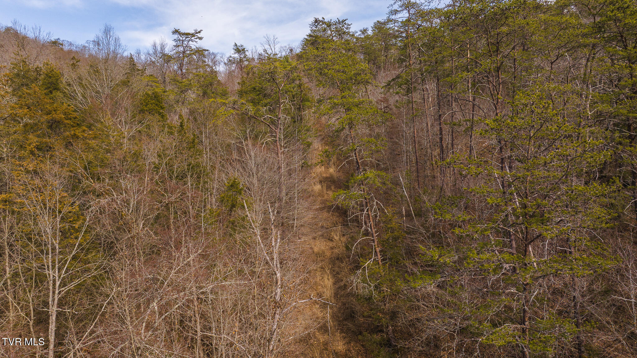 0 Big Springs Road Eidson, TN 37731 - Photo 22 of 49 DJI_20250310152723_0451_D