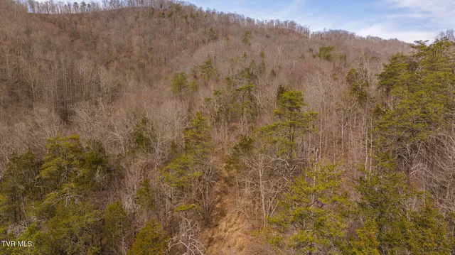 $599,000 | 0 Big Springs Road, Eidson, TN 37731