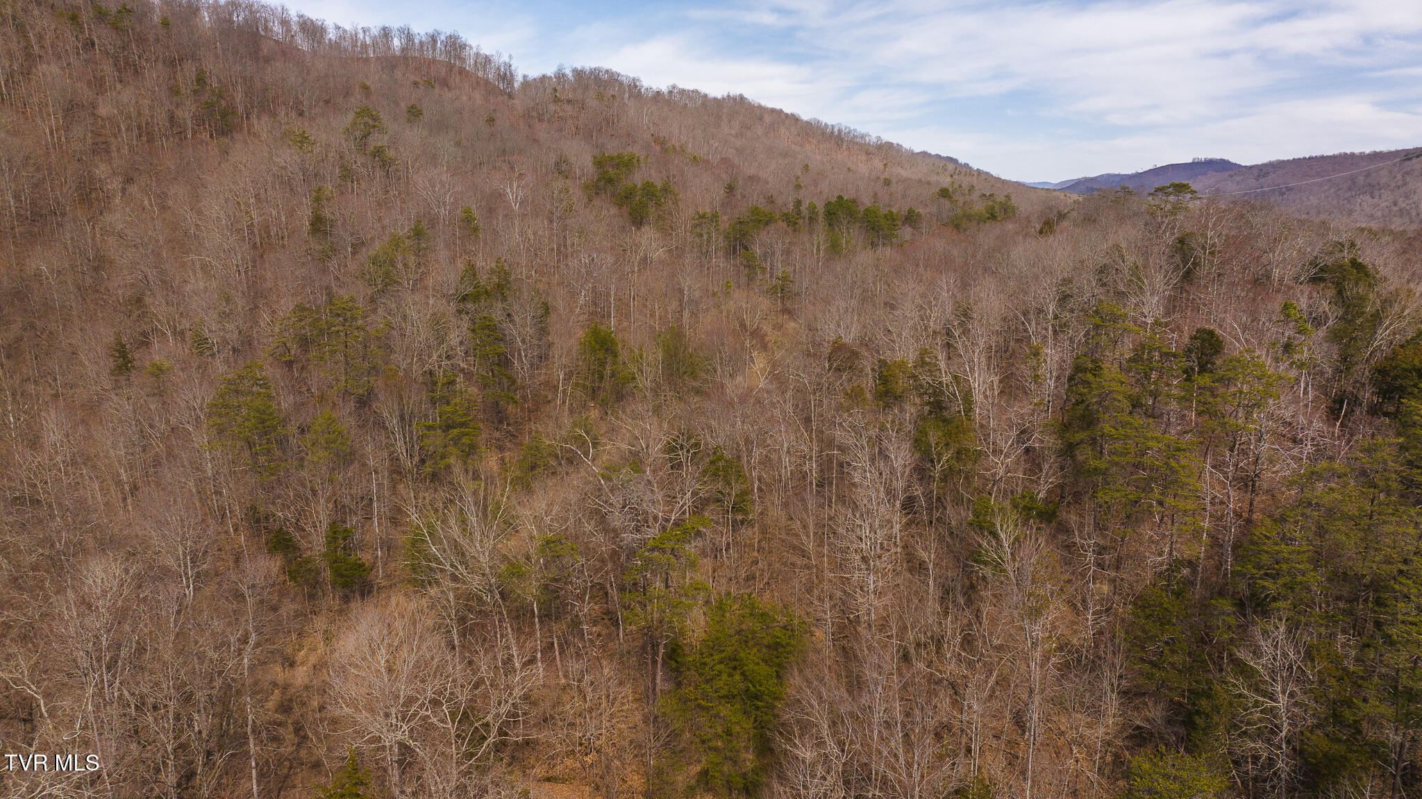 0 Big Springs Road Eidson, TN 37731 - Photo 24 of 49 DJI_20250310152840_0456_D