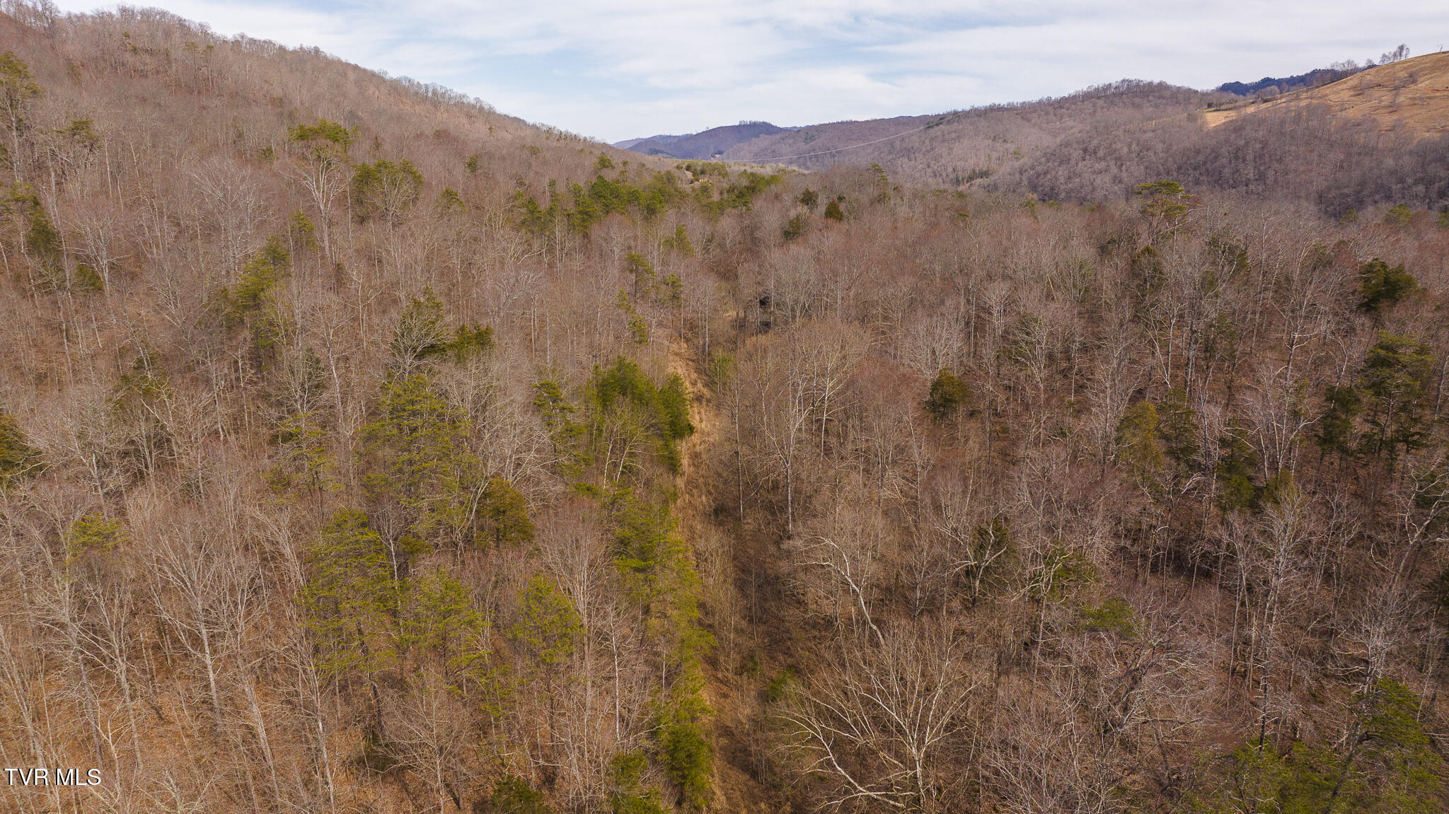 0 Big Springs Road Eidson, TN 37731 - Photo 25 of 49 DJI_20250310152852_0457_D