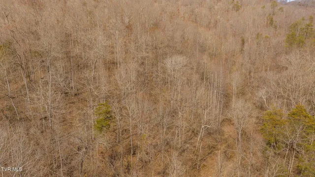 $599,000 | 0 Big Springs Road, Eidson, TN 37731