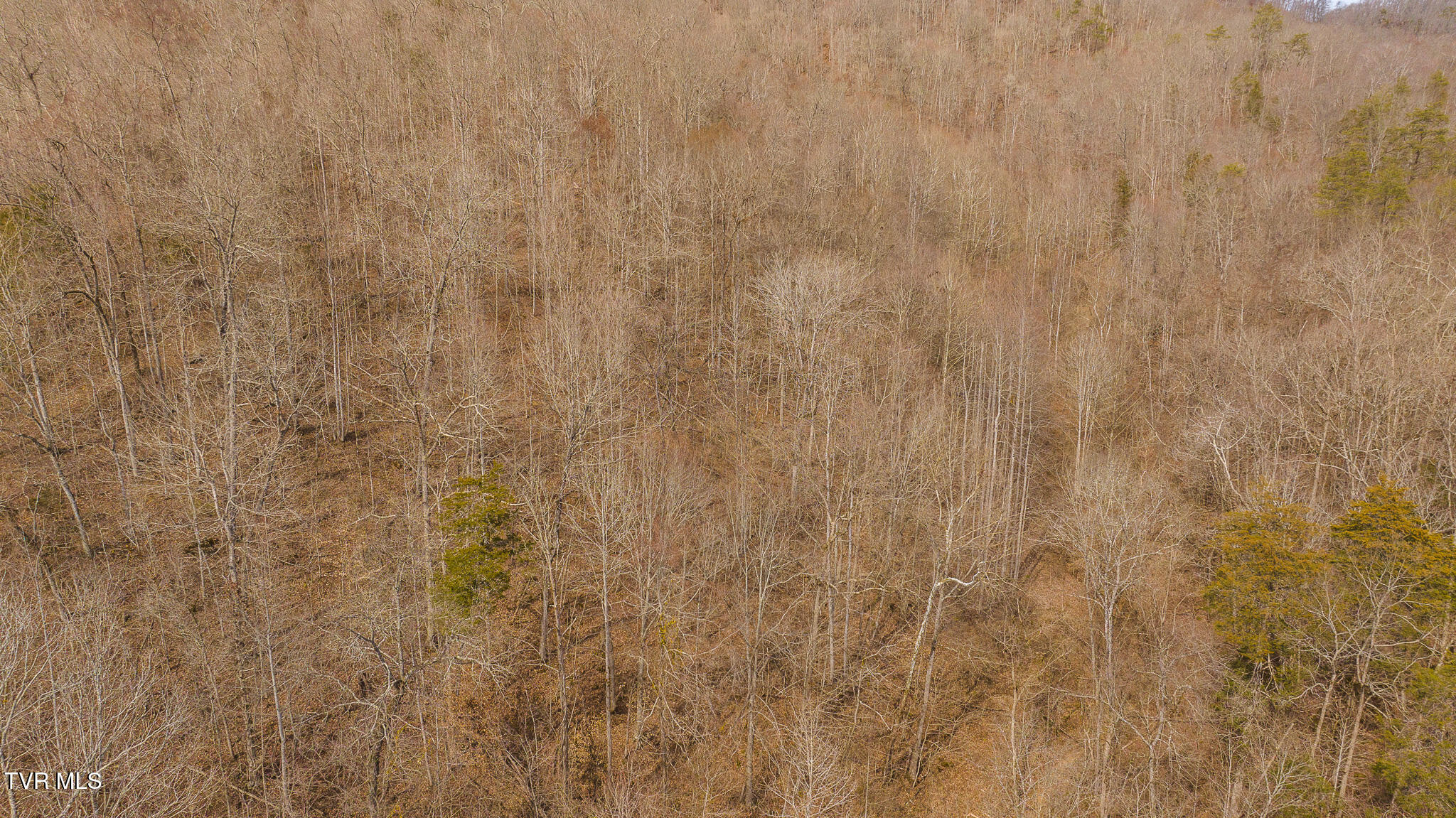 0 Big Springs Road Eidson, TN 37731 - Photo 31 of 49 DJI_20250310153053_0466_D