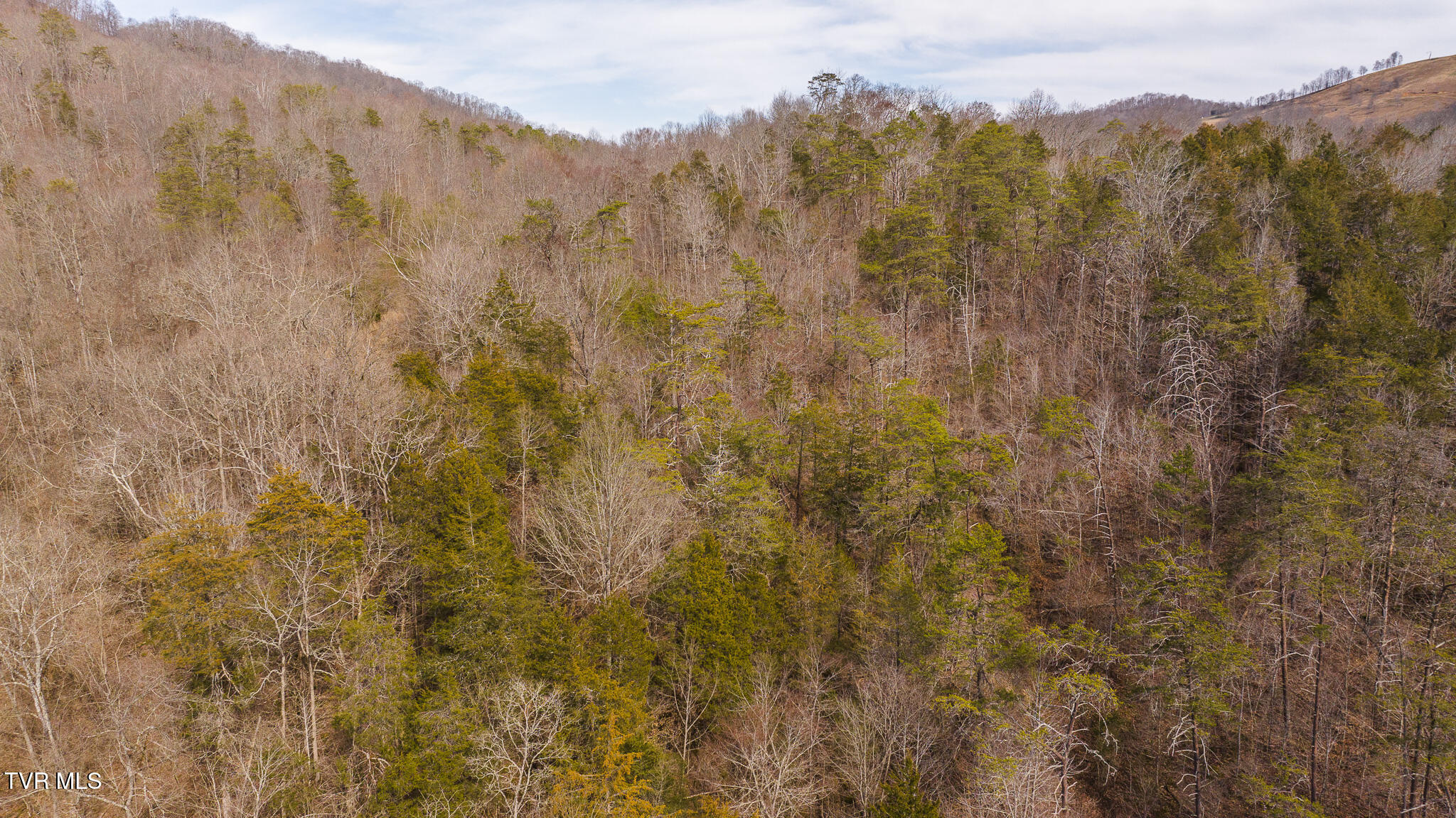 0 Big Springs Road Eidson, TN 37731 - Photo 32 of 49 DJI_20250310153058_0467_D