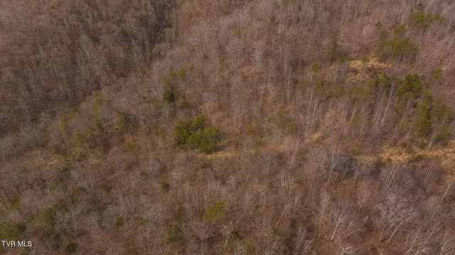 $599,000 | 0 Big Springs Road, Eidson, TN 37731