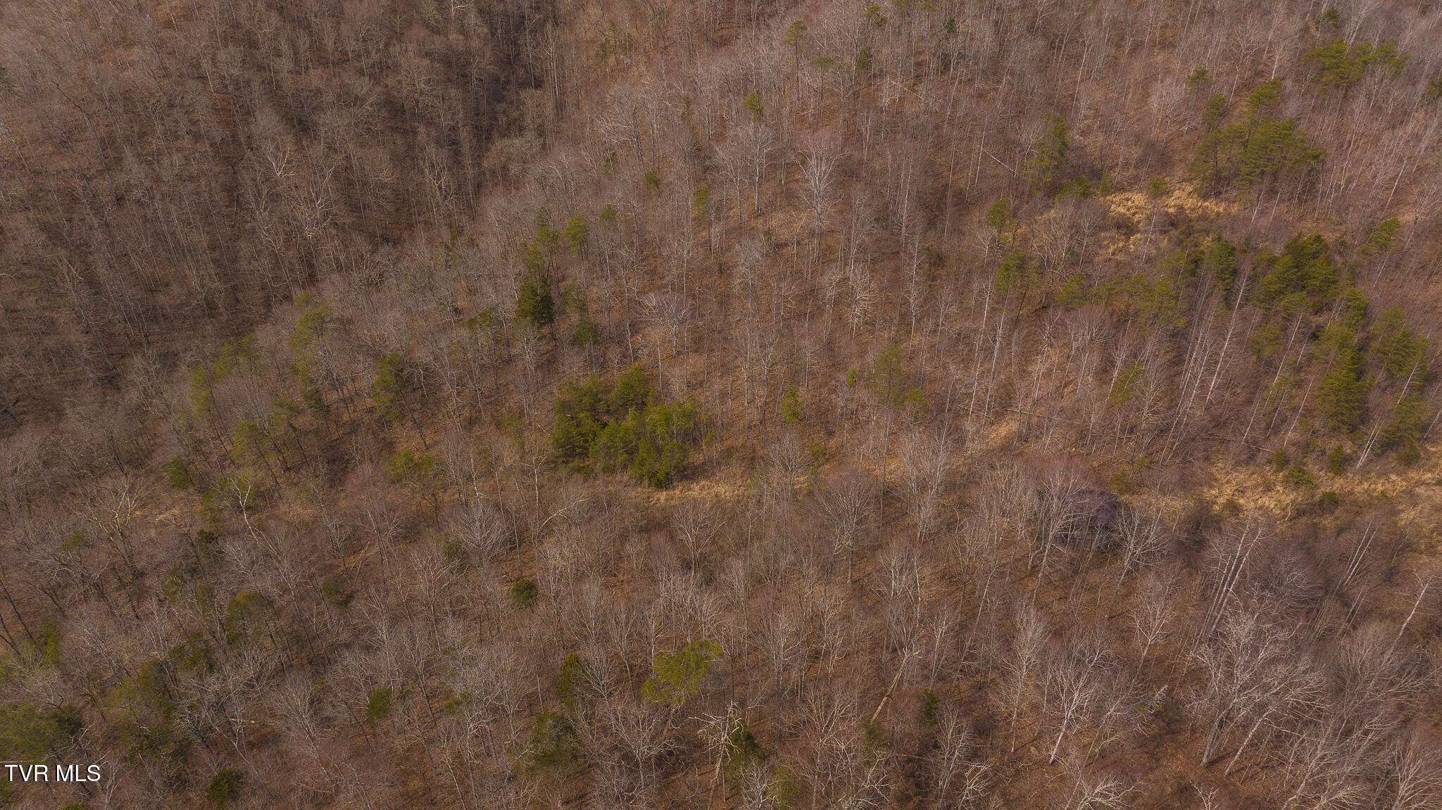 0 Big Springs Road Eidson, TN 37731 - Photo 34 of 49 DJI_20250310153207_0470_D