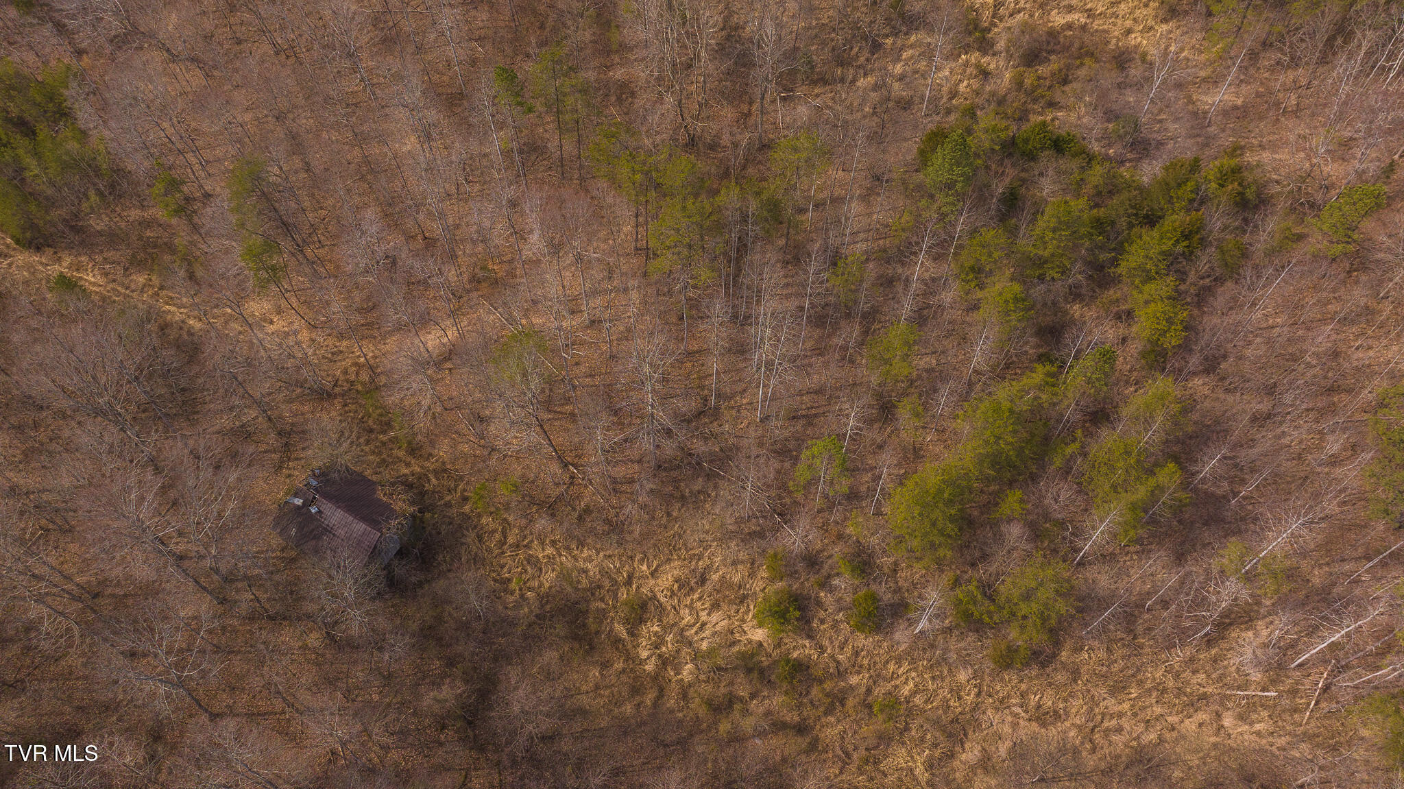 0 Big Springs Road Eidson, TN 37731 - Photo 35 of 49 DJI_20250310153225_0471_D