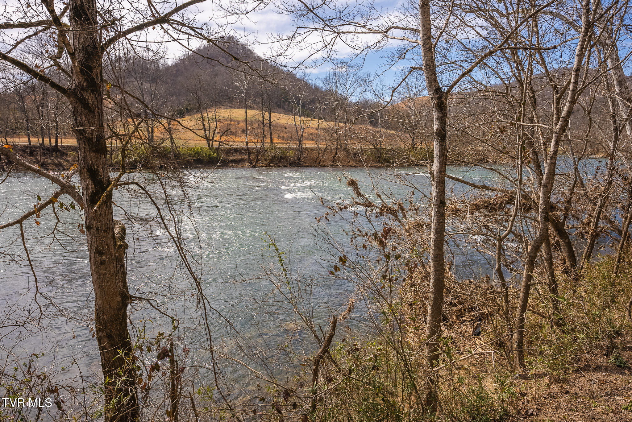 0 Big Springs Road Eidson, TN 37731 - Photo 39 of 49 DSC06616