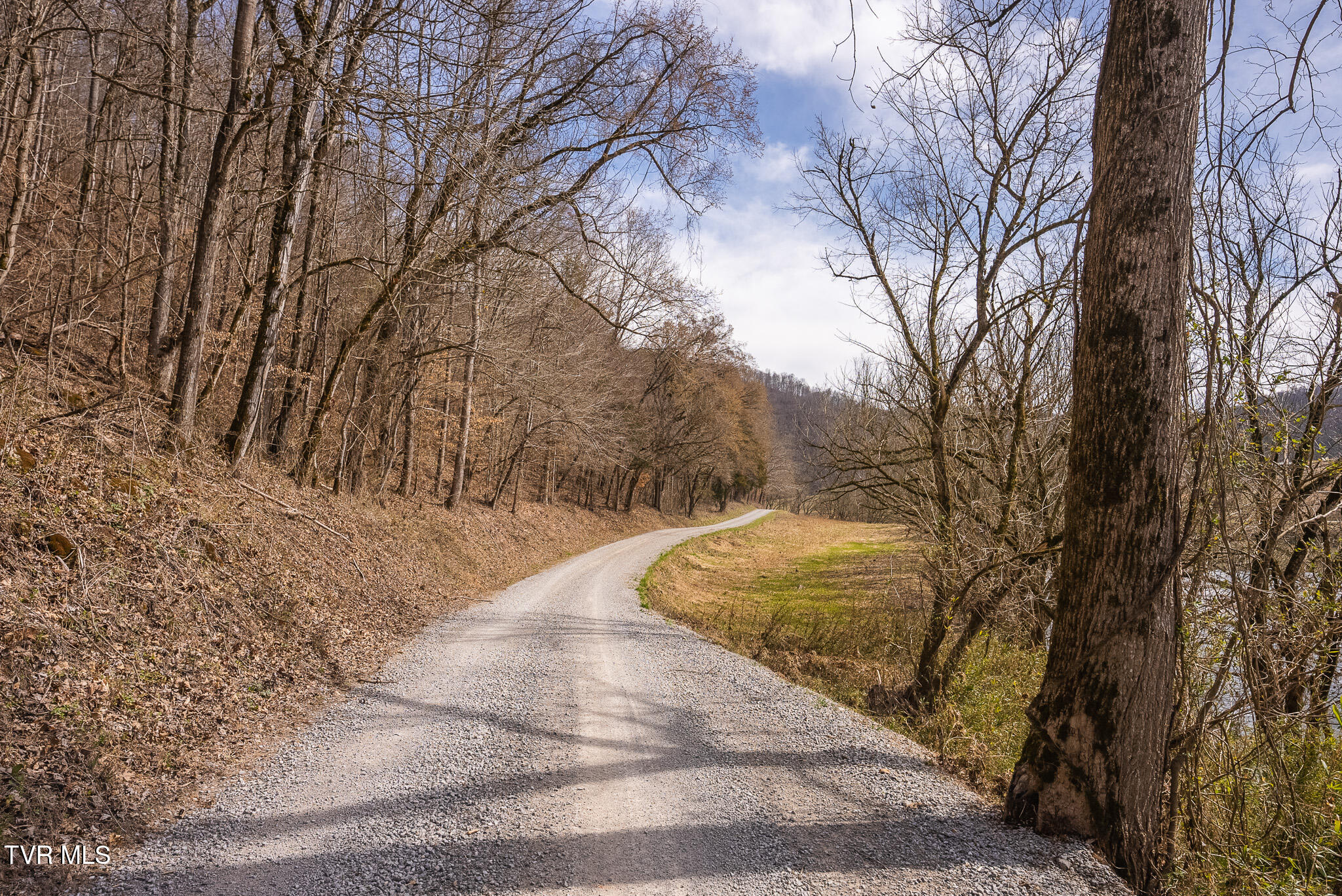 0 Big Springs Road Eidson, TN 37731 - Photo 40 of 49 DSC06617