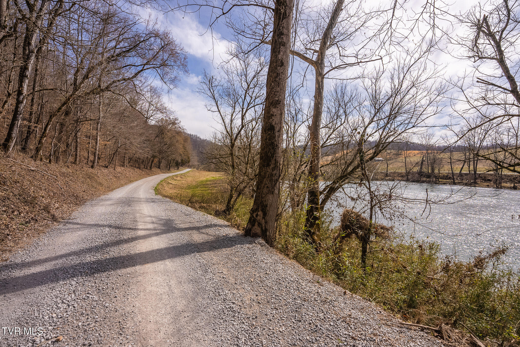 0 Big Springs Road Eidson, TN 37731 - Photo 41 of 49 DSC06618