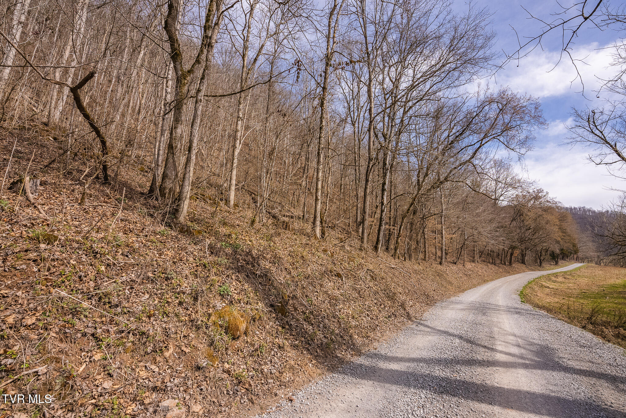 0 Big Springs Road Eidson, TN 37731 - Photo 42 of 49 DSC06619