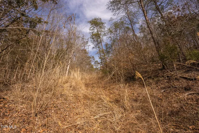 $599,000 | 0 Big Springs Road, Eidson, TN 37731