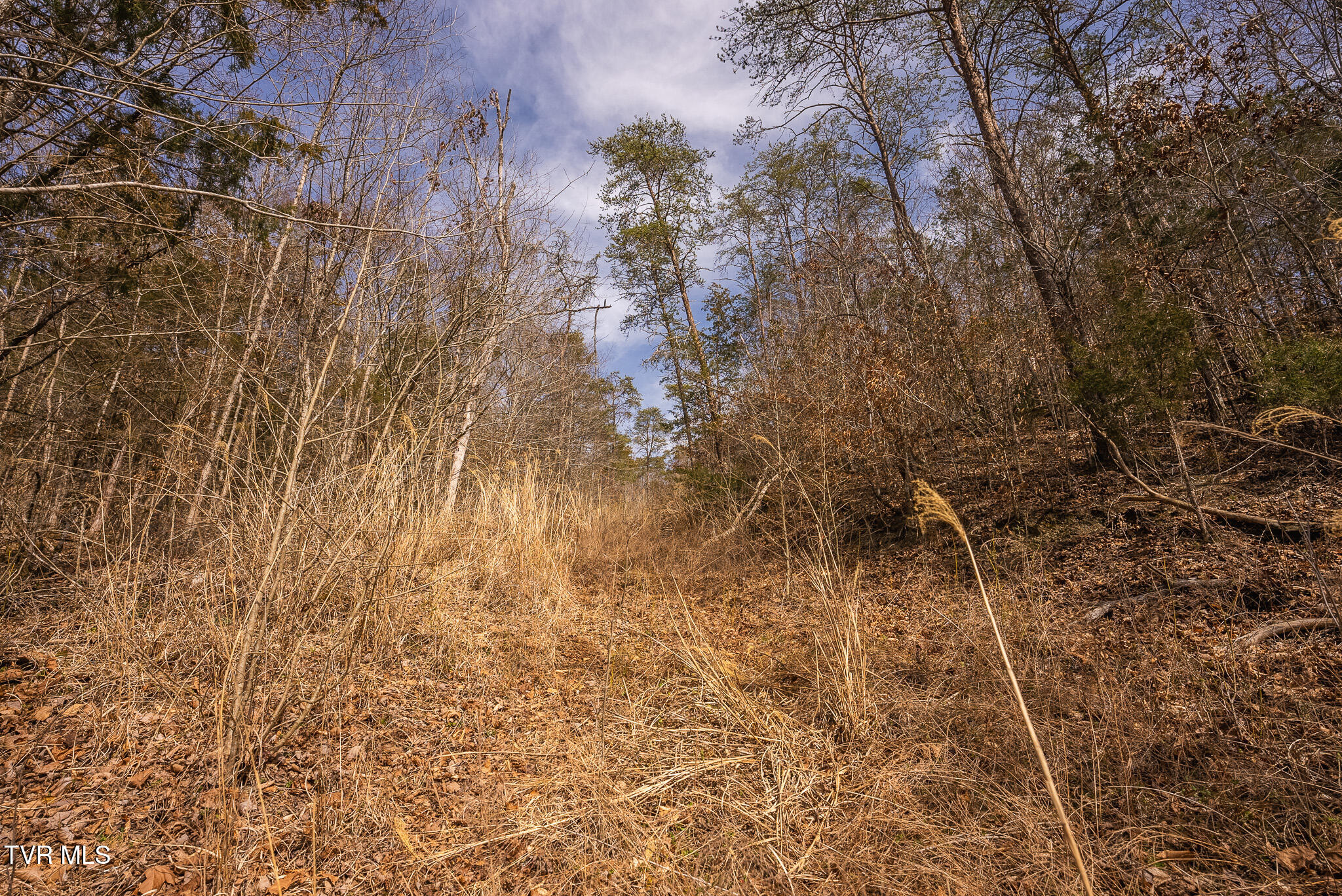 0 Big Springs Road Eidson, TN 37731 - Photo 43 of 49 DSC06620