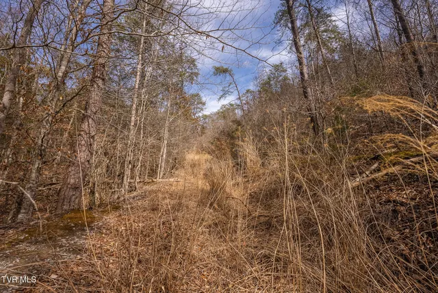 $599,000 | 0 Big Springs Road, Eidson, TN 37731