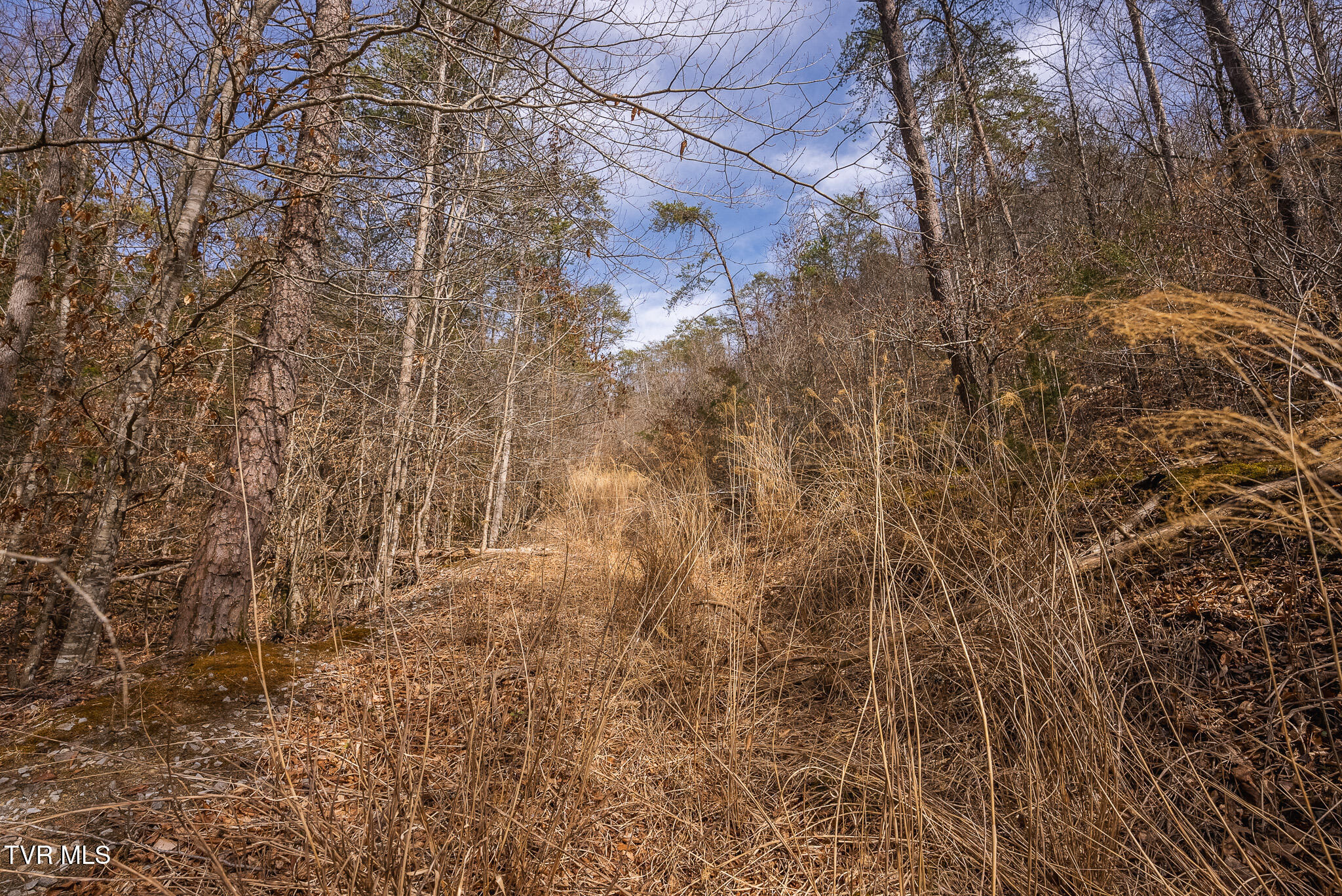 0 Big Springs Road Eidson, TN 37731 - Photo 45 of 49 DSC06622