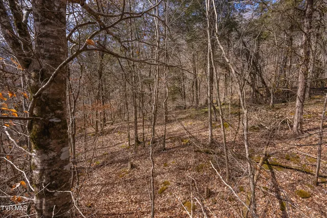 $599,000 | 0 Big Springs Road, Eidson, TN 37731