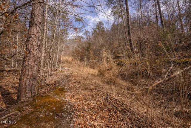 $599,000 | 0 Big Springs Road, Eidson, TN 37731