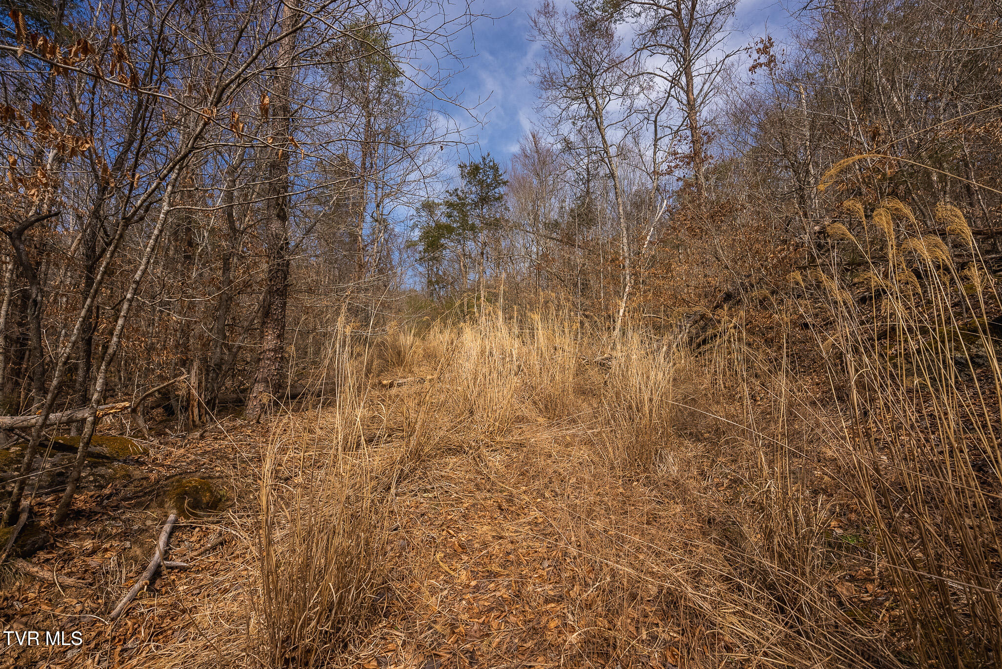 0 Big Springs Road Eidson, TN 37731 - Photo 48 of 49 DSC06625