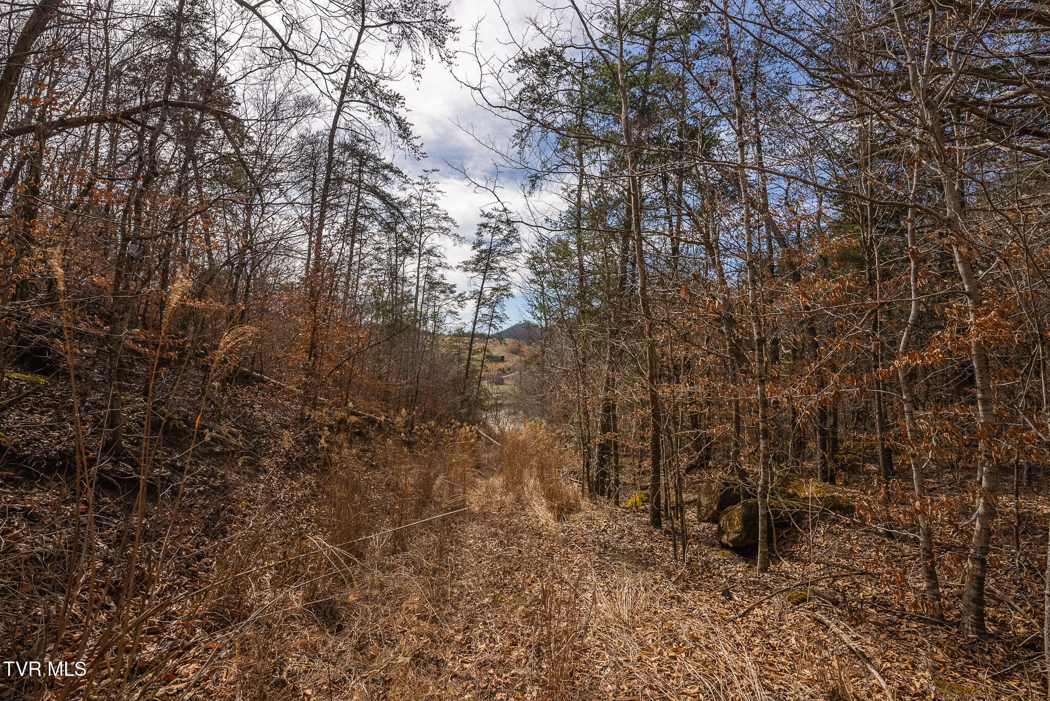 0 Big Springs Road Eidson, TN 37731 - Photo 49 of 49 DSC06626