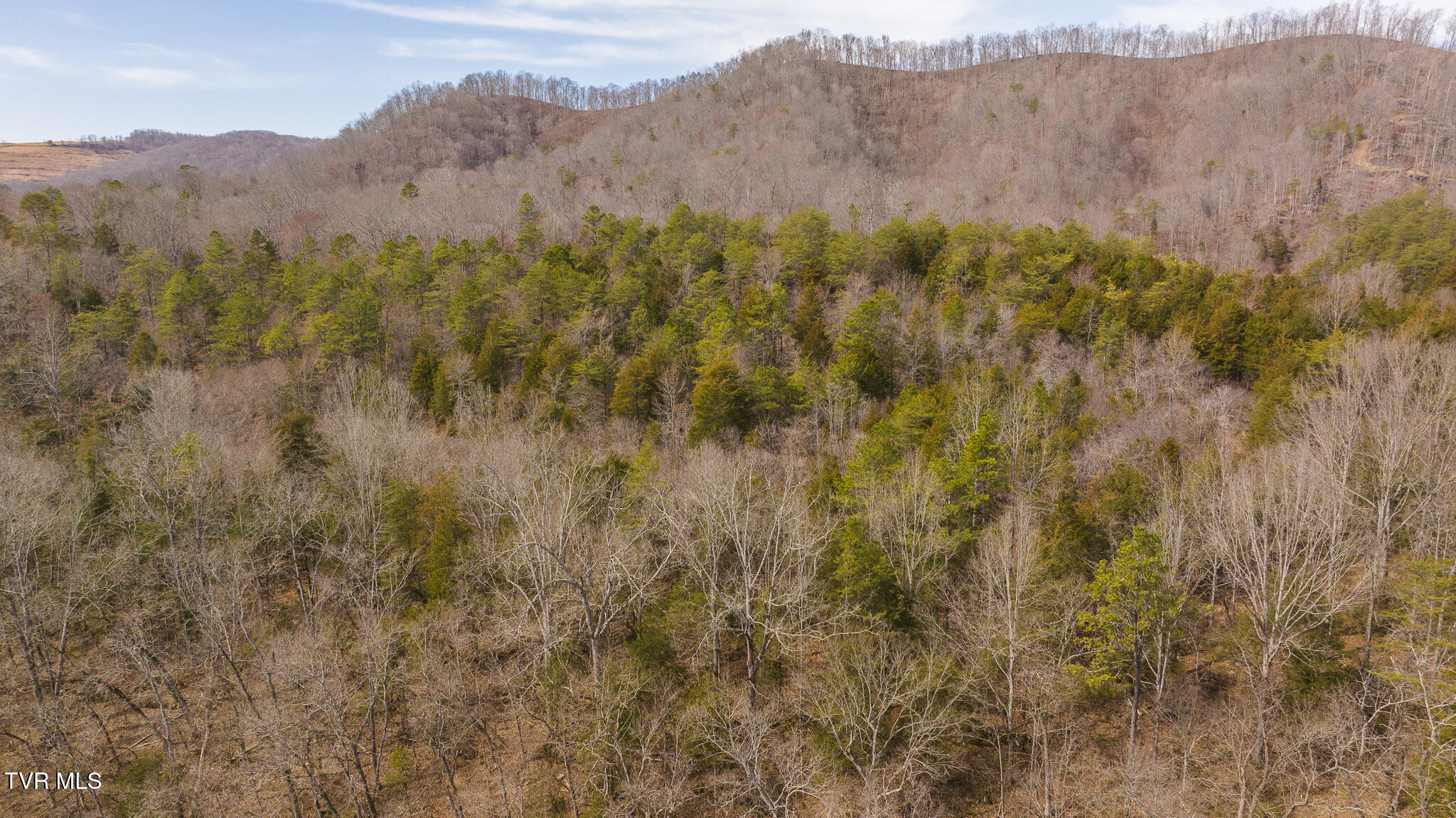 0 Big Springs Road Eidson, TN 37731 - Photo 7 of 49 DJI_20250310150333_0434_D