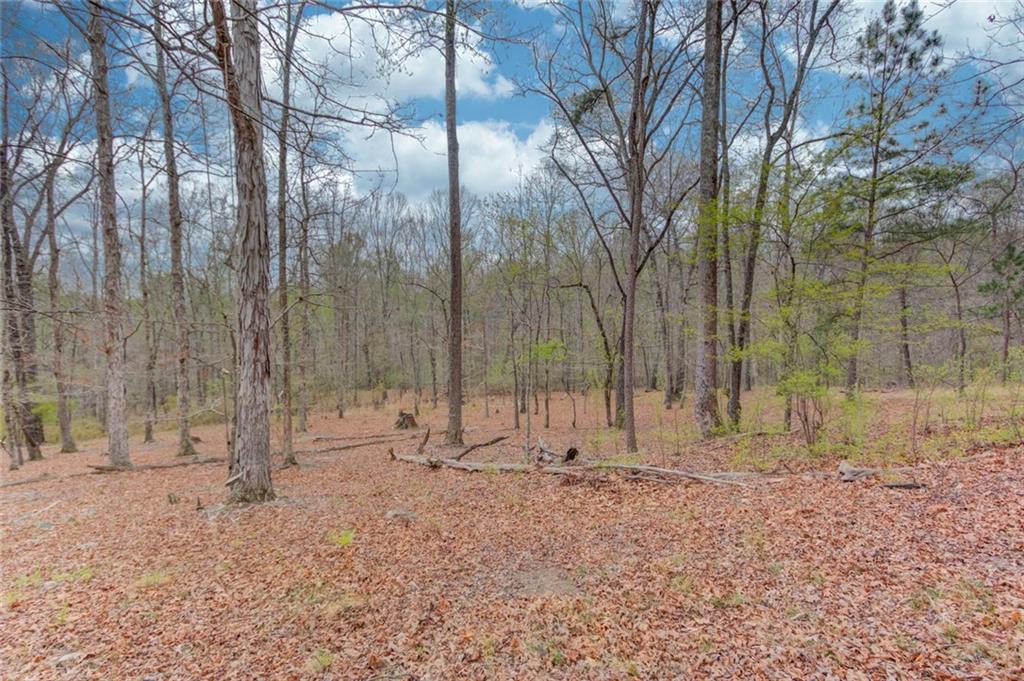 360 Mulberry Road Northwest Winder, GA 30680 - Photo 40 of 41