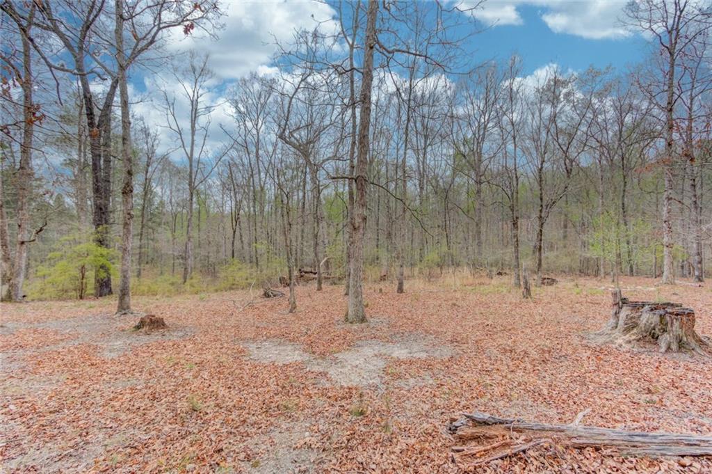 360 Mulberry Road Northwest Winder, GA 30680 - Photo 41 of 41