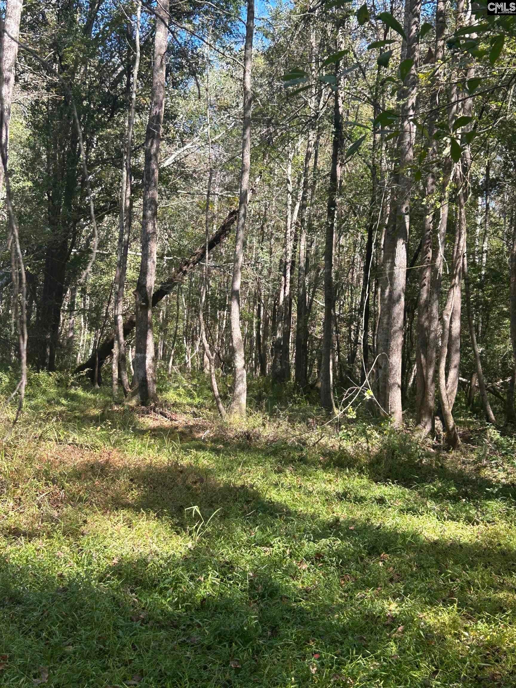 0 Swamp Rabbit Road Leesville, SC 29070 - Photo 26 of 55 Gallery Image 26