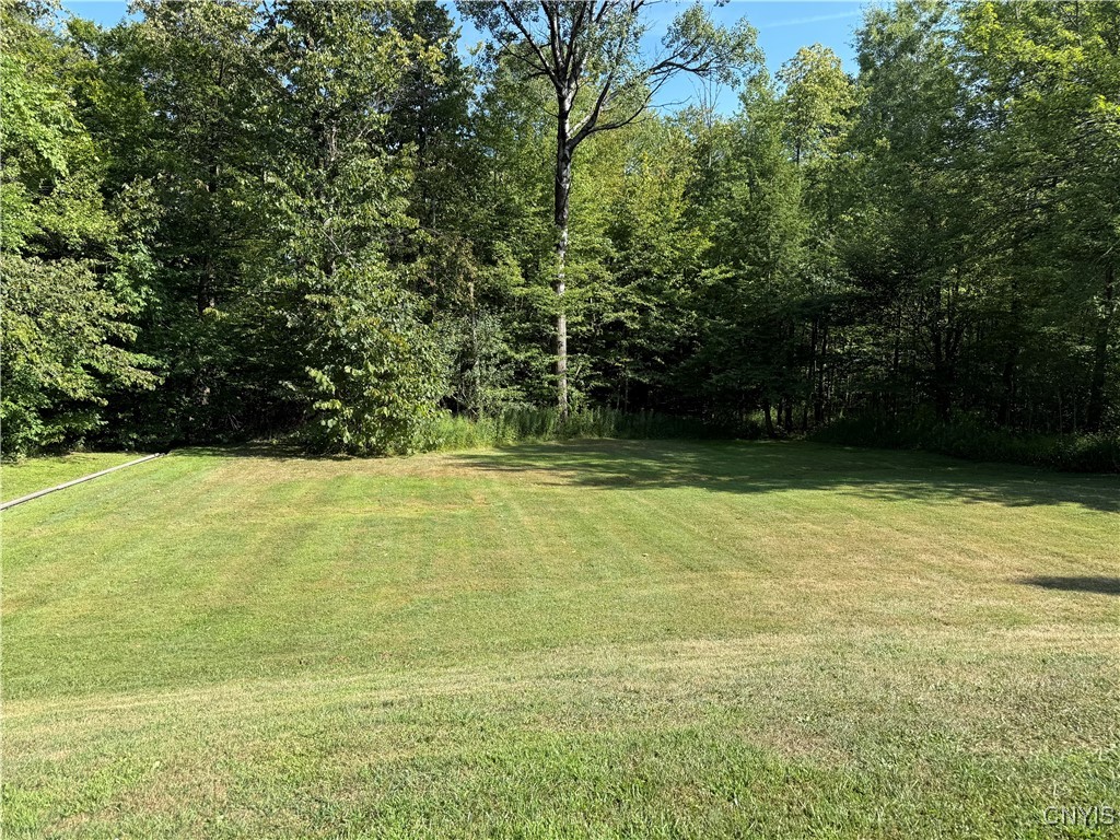 10340 Ridgecrest Road Marcy, NY 13502 - Photo 19 of 24 No backdoor neighbors