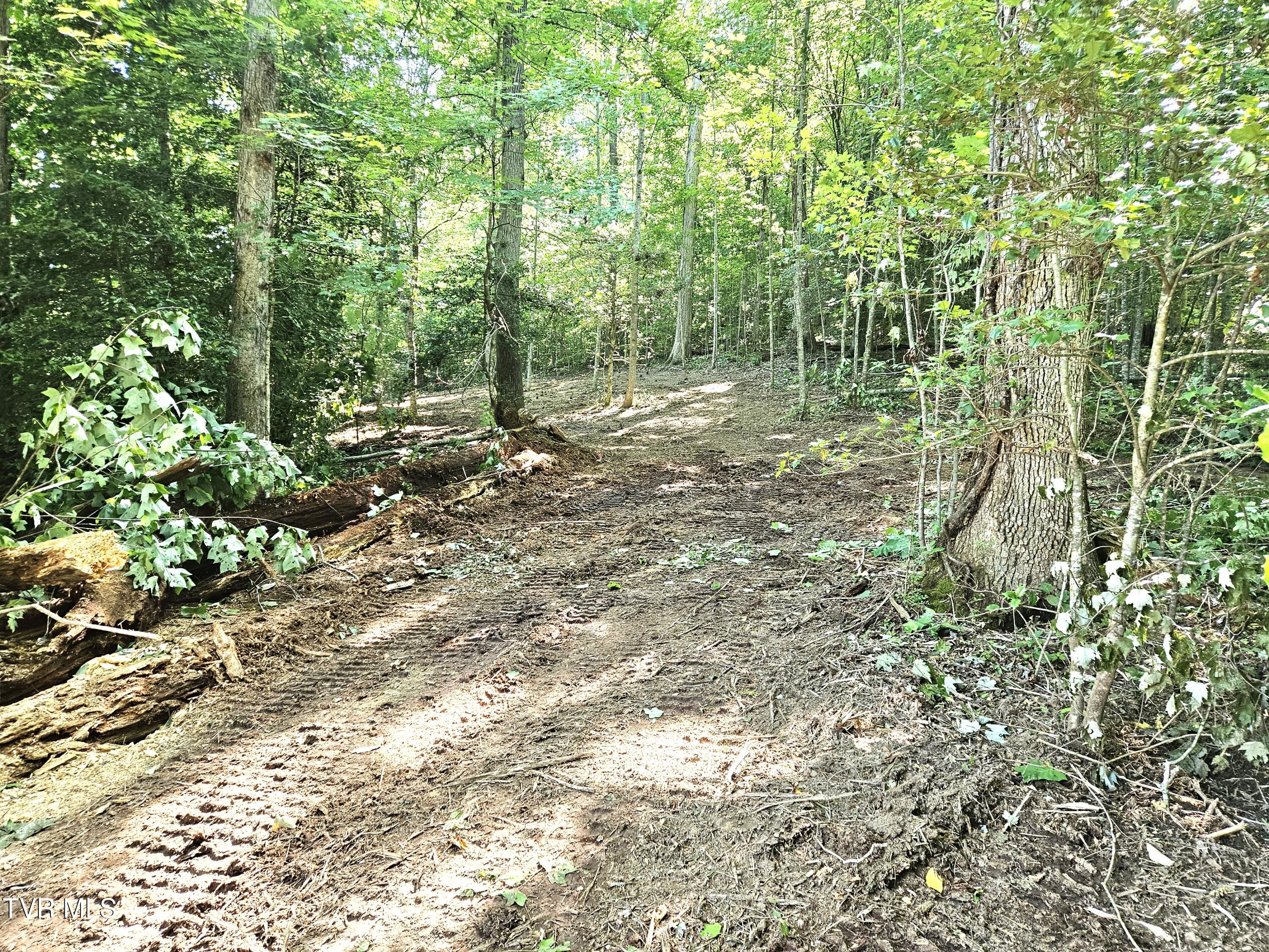 96 Golf Course Road, Unit 30 Rogersville, TN 37857 - Photo 4 of 10 4