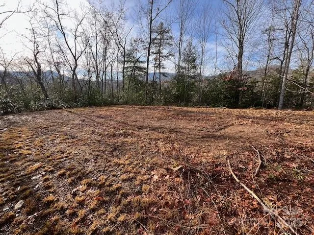 a view of a yard with trees