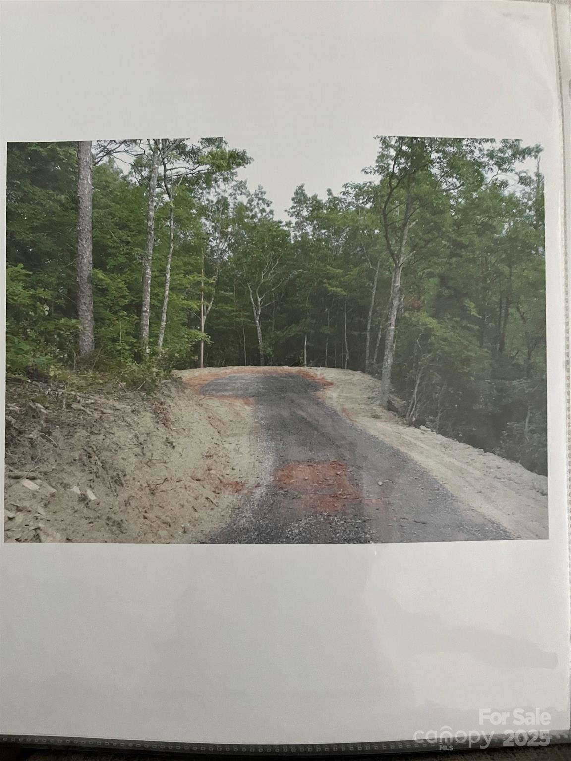 Lot 2 Tobacco Branch Road Almond, NC 28702 - Photo 11 of 11 a view of a forest