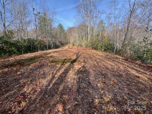Lot 2 Tobacco Branch Road Almond, NC 28702 - Photo 2 of 11 a view of side of a house with a yard
