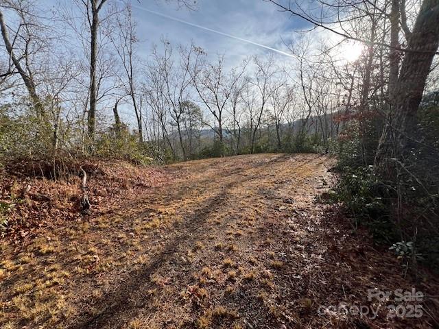 Lot 2 Tobacco Branch Road Almond, NC 28702 - Photo 3 of 11 a view of a backyard of the house