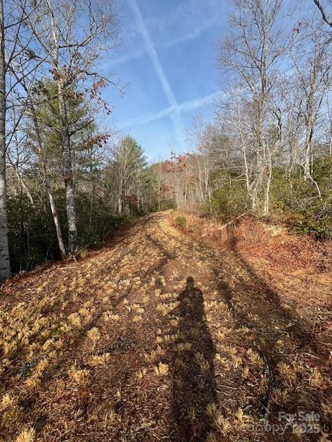 Lot 2 Tobacco Branch Road Almond, NC 28702 - Photo 4 of 11 a view of a yard with trees and bushes