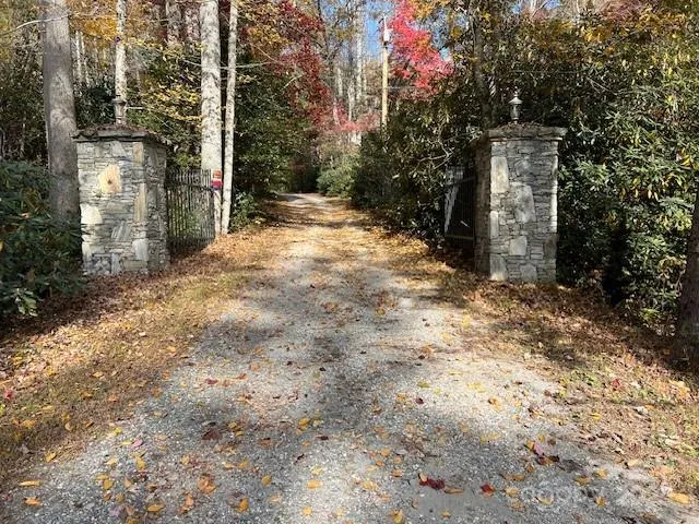 a view of a yard with plants and trees