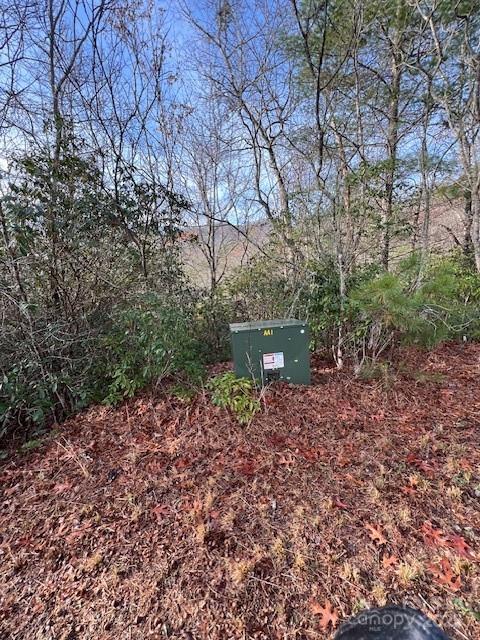 Lot 2 Tobacco Branch Road Almond, NC 28702 - Photo 9 of 11 a backyard of a house with lots of green space