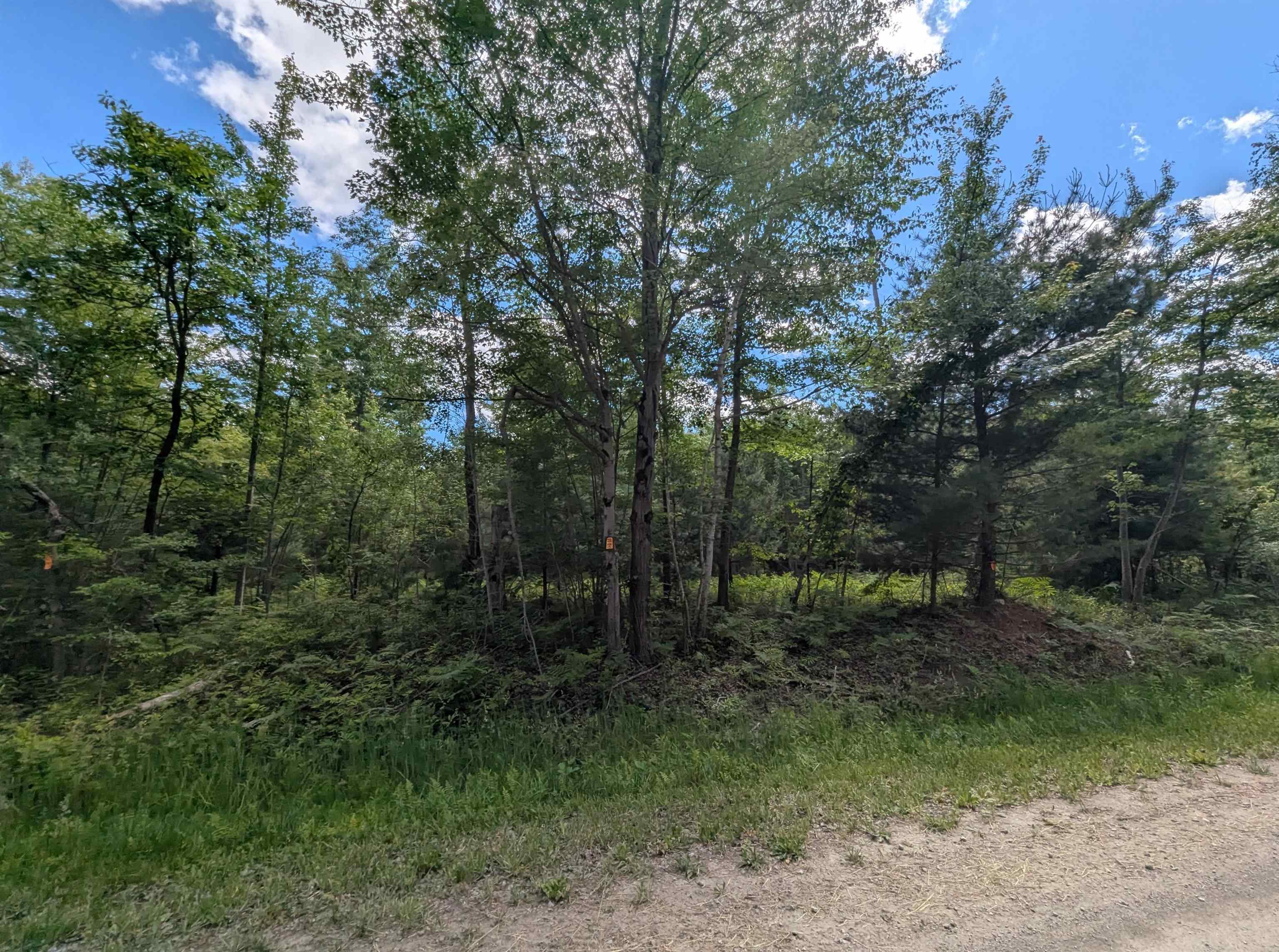 N/a Bordeau Road Standish, MI 48658 - Photo 1 of 8