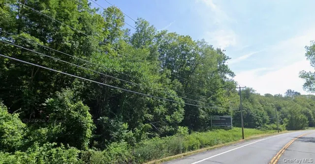 $9,000 | Briggs Highway, Ellenville, NY 12428