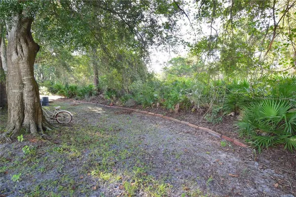 a view of a yard with large trees