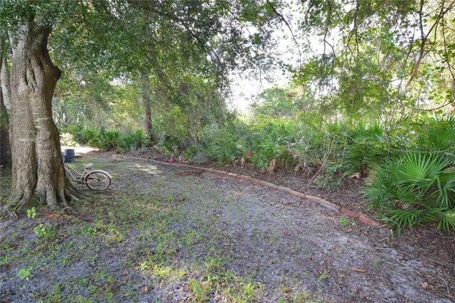 a view of a yard with large trees