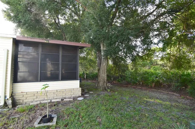 a small yard with large trees