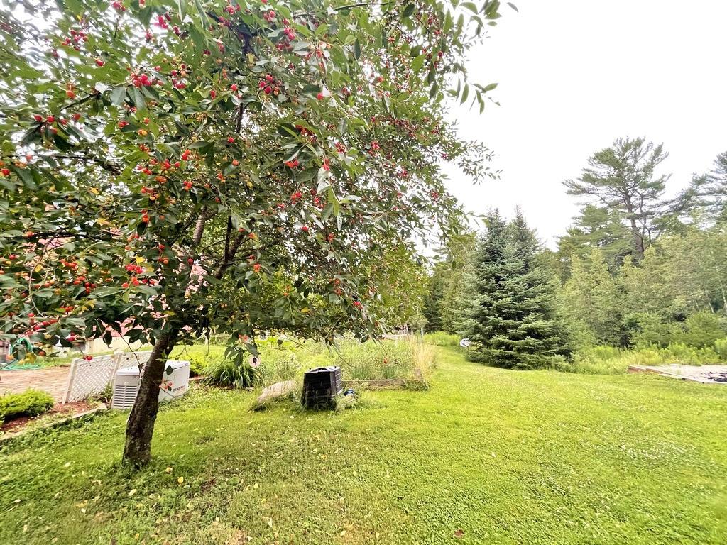 141 Mill Creek Road Orrington, ME 04474 - Photo 29 of 45 cherry-tree-scenery_51296140372_o (Copy)