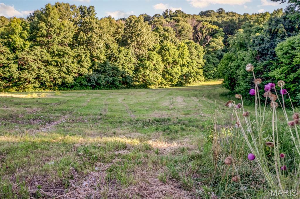 575 Schleeper Hollow Road Hardin, IL 62047 - Photo 40 of 61