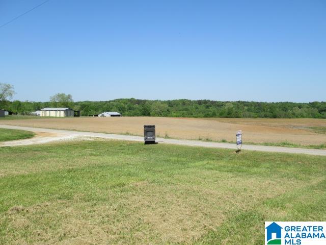 2738 County Road 45 Ranburne, AL 36273 - Photo 5 of 35