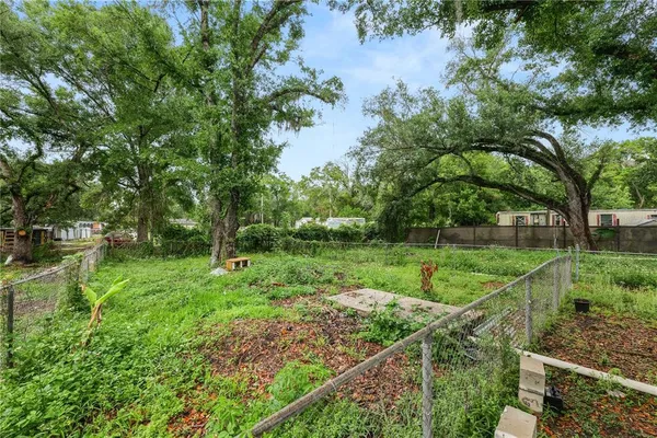 a view of a park with large trees