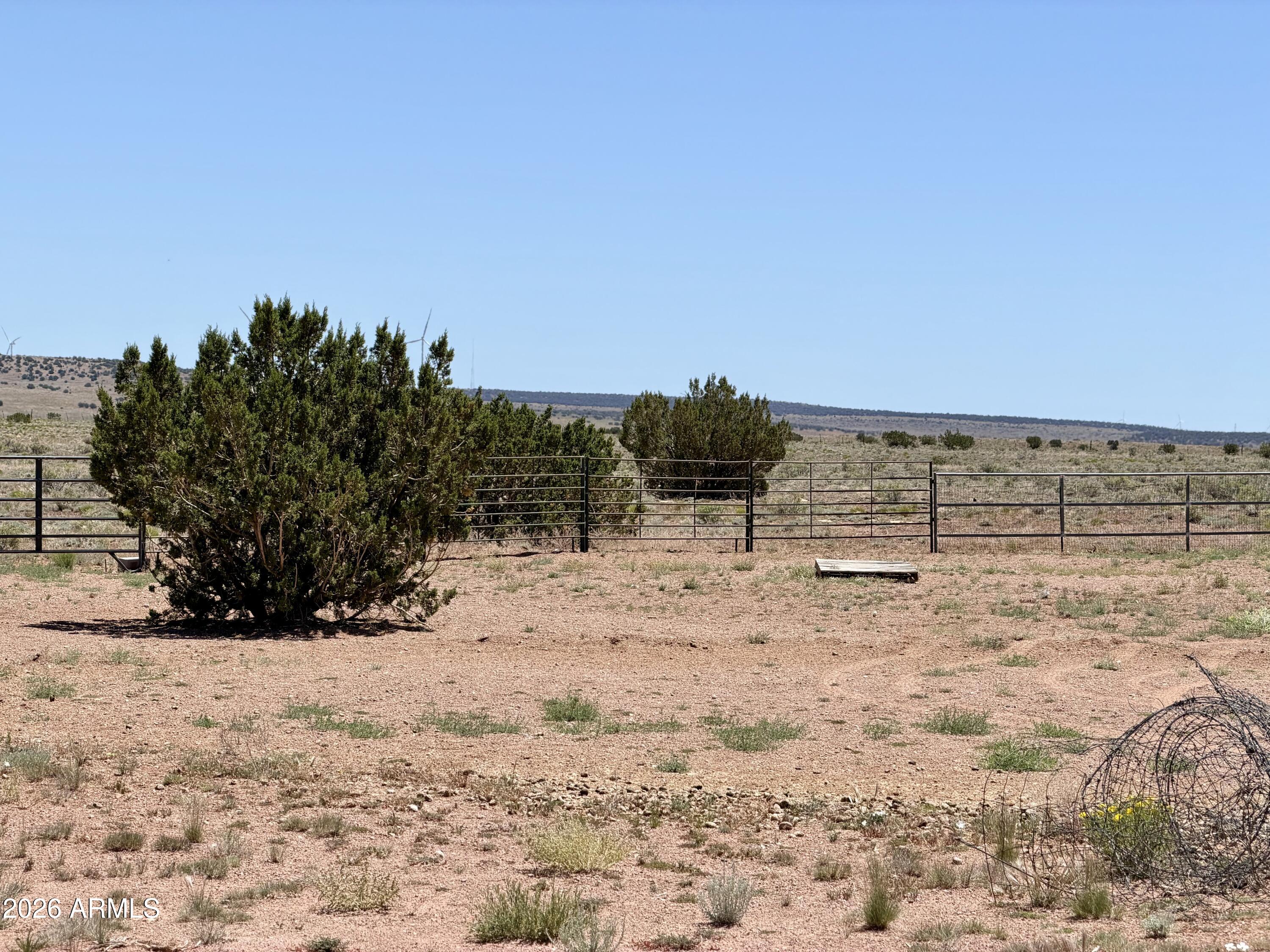 2659 Duck Lake Road Heber, AZ 85928 - Photo 10 of 34 a view of yard covered with snow in the background