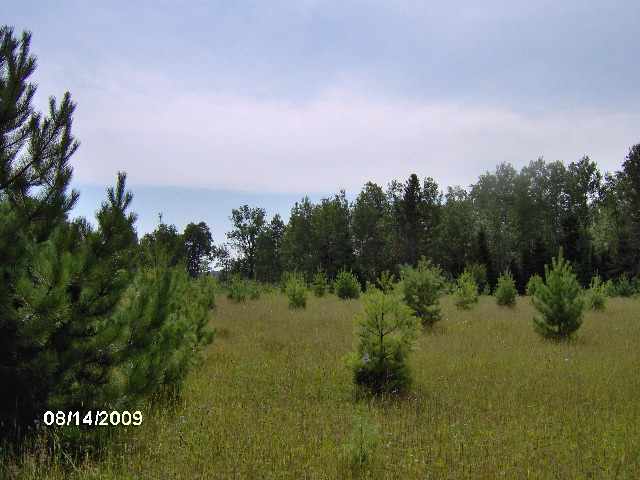 26 & Old Cemetary Road Tower, MN 55790 - Photo 1 of 8