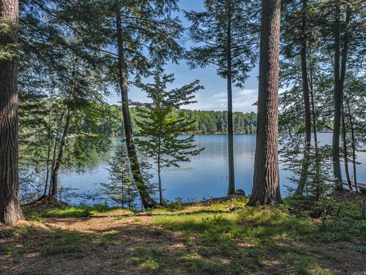 6292 West Forest Lake Road Land O'Lakes, WI 54540 - Photo 41 of 44 Gallery Image 41