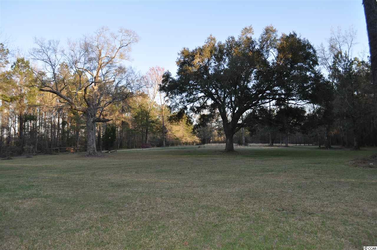 3351 Saints Delight Road Georgetown, SC 29440 - Photo 2 of 25 Gallery Image 2